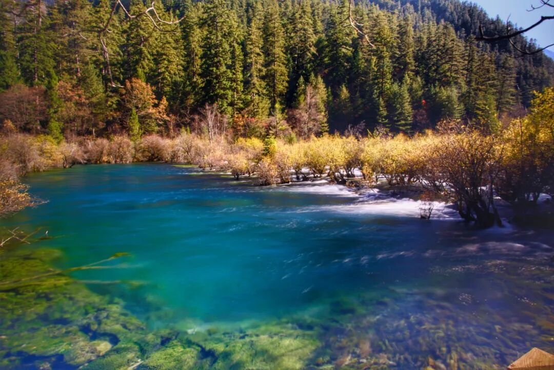 把湖泊森林草原看遍，它才是名副其实的秋景天花板！