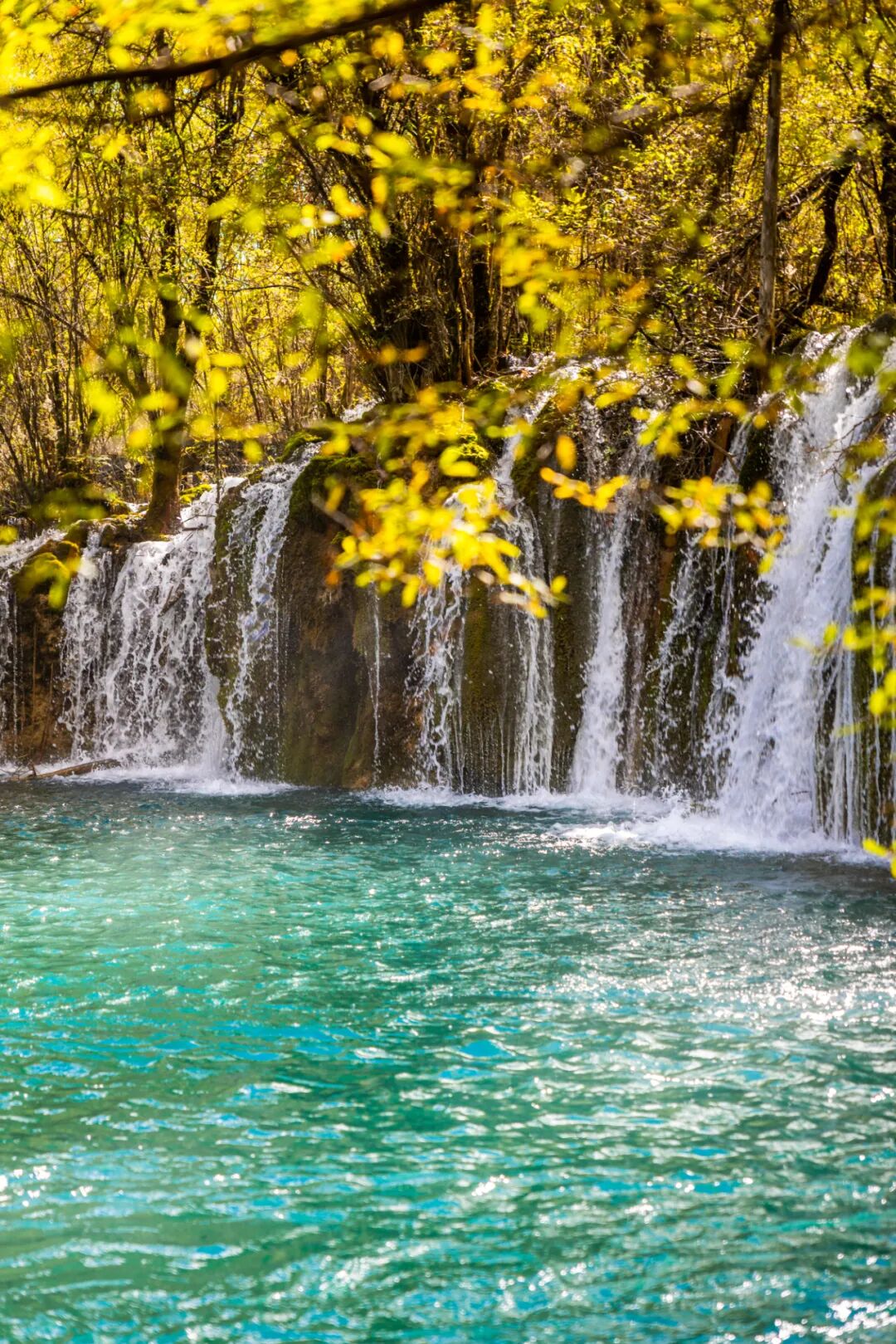 把湖泊森林草原看遍，它才是名副其实的秋景天花板！