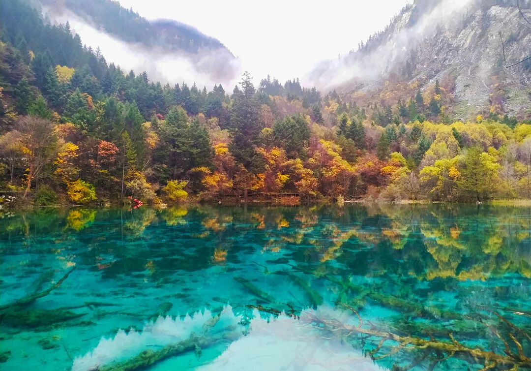 把湖泊森林草原看遍，它才是名副其实的秋景天花板！