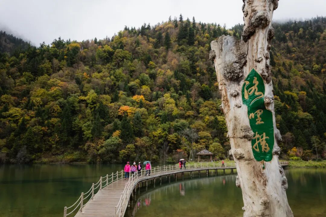 把湖泊森林草原看遍，它才是名副其实的秋景天花板！