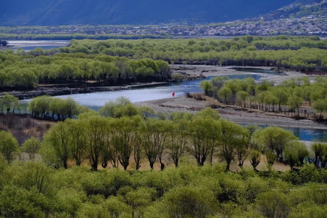 挖到一处桃源秘境，多次登榜《国家地理》春日必去！
