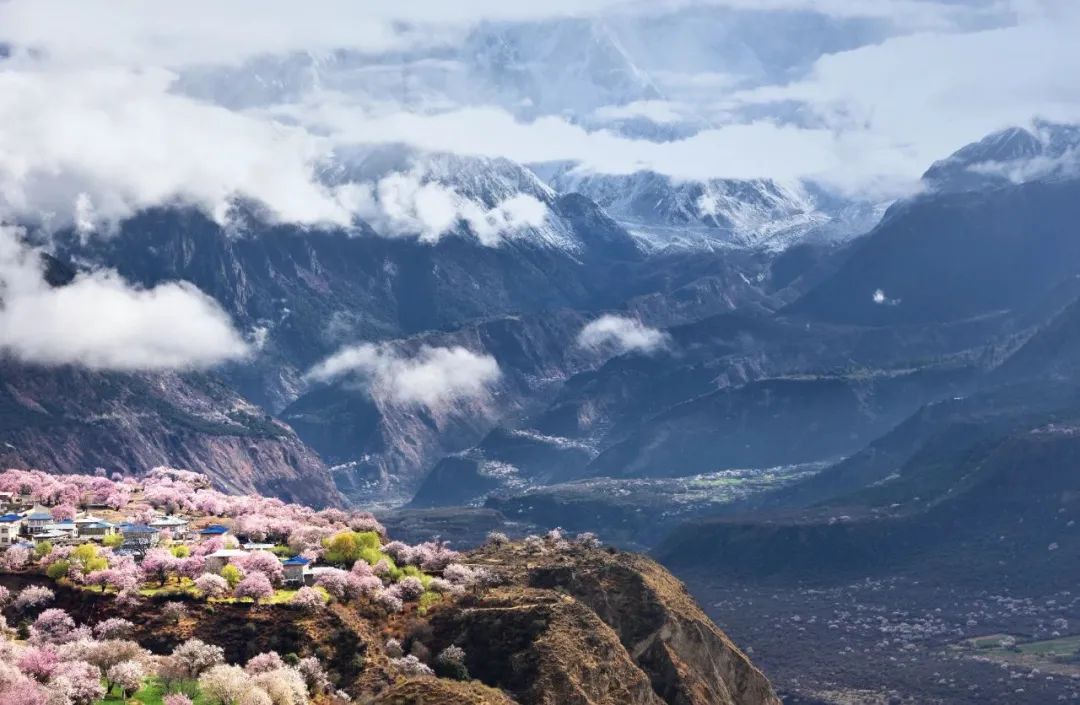 挖到一处桃源秘境，多次登榜《国家地理》春日必去！