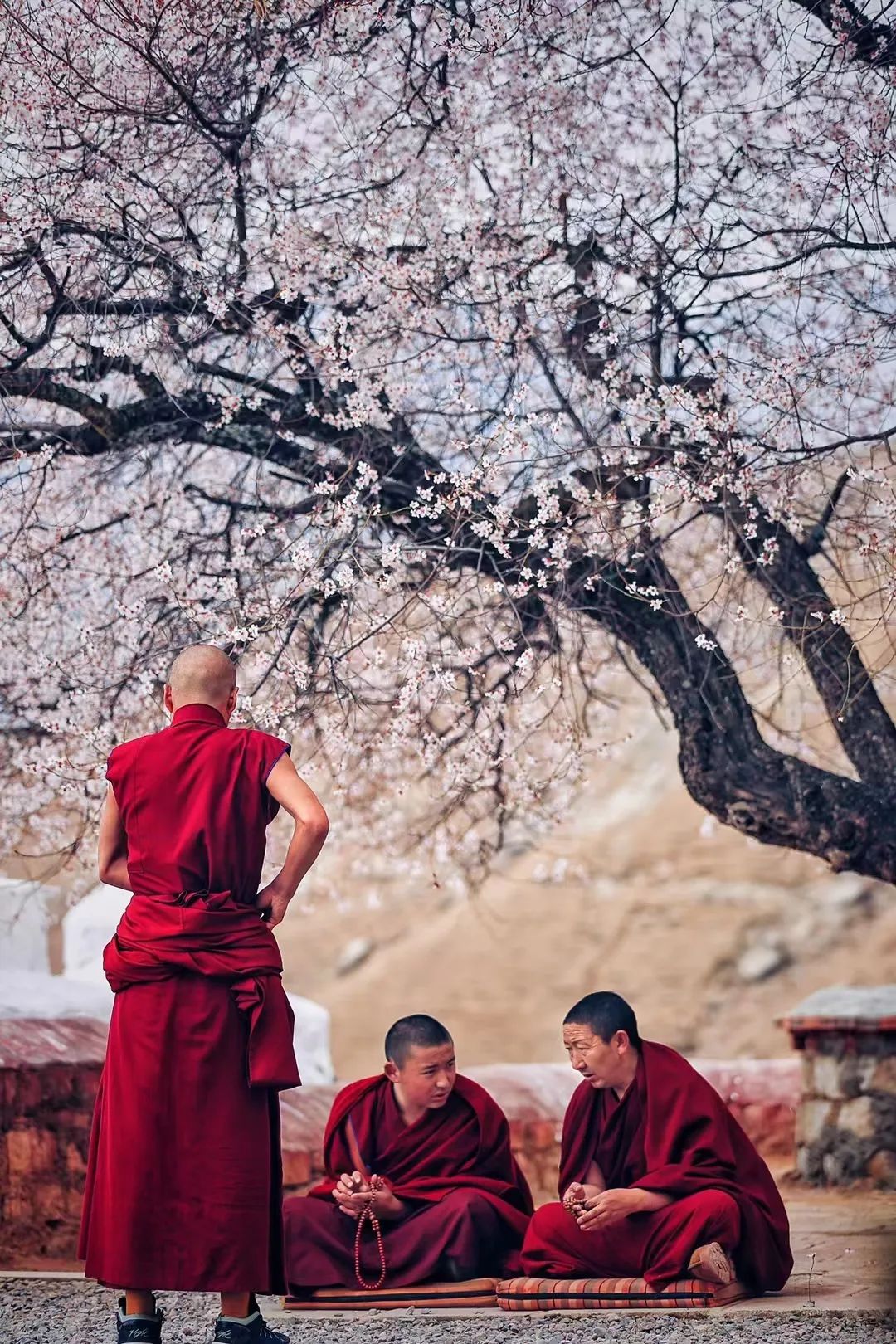 挖到一处桃源秘境，多次登榜《国家地理》春日必去！