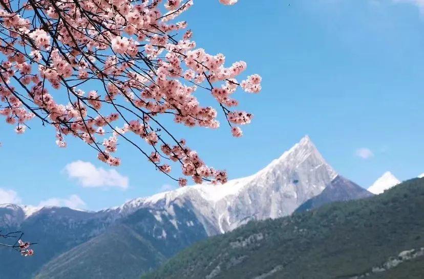 挖到一处桃源秘境，多次登榜《国家地理》春日必去！