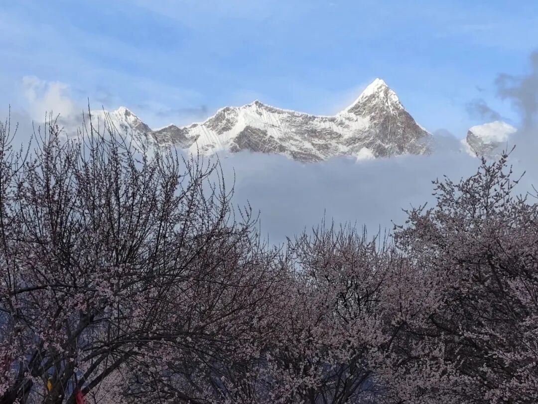 挖到一处桃源秘境，多次登榜《国家地理》春日必去！