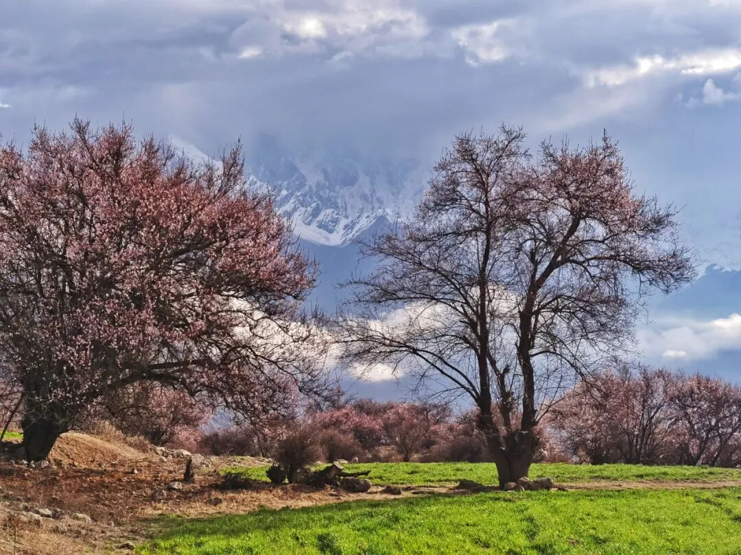 挖到一处桃源秘境，多次登榜《国家地理》春日必去！