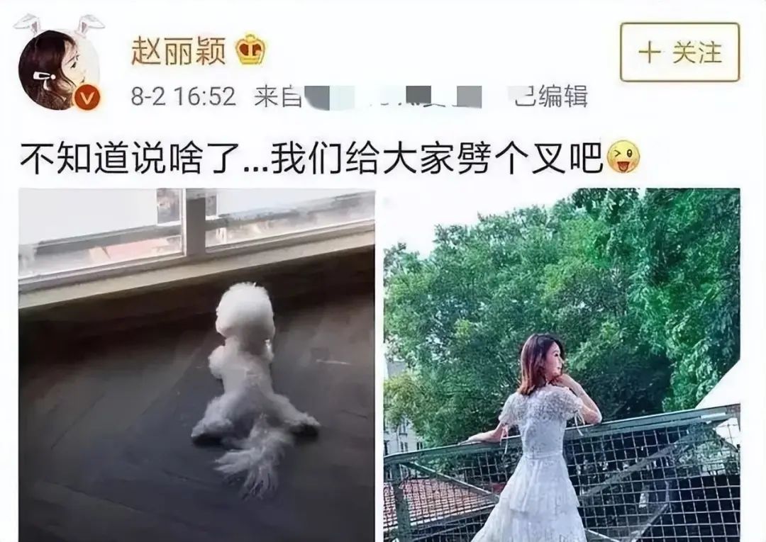 金星秀赵丽颖在线观看