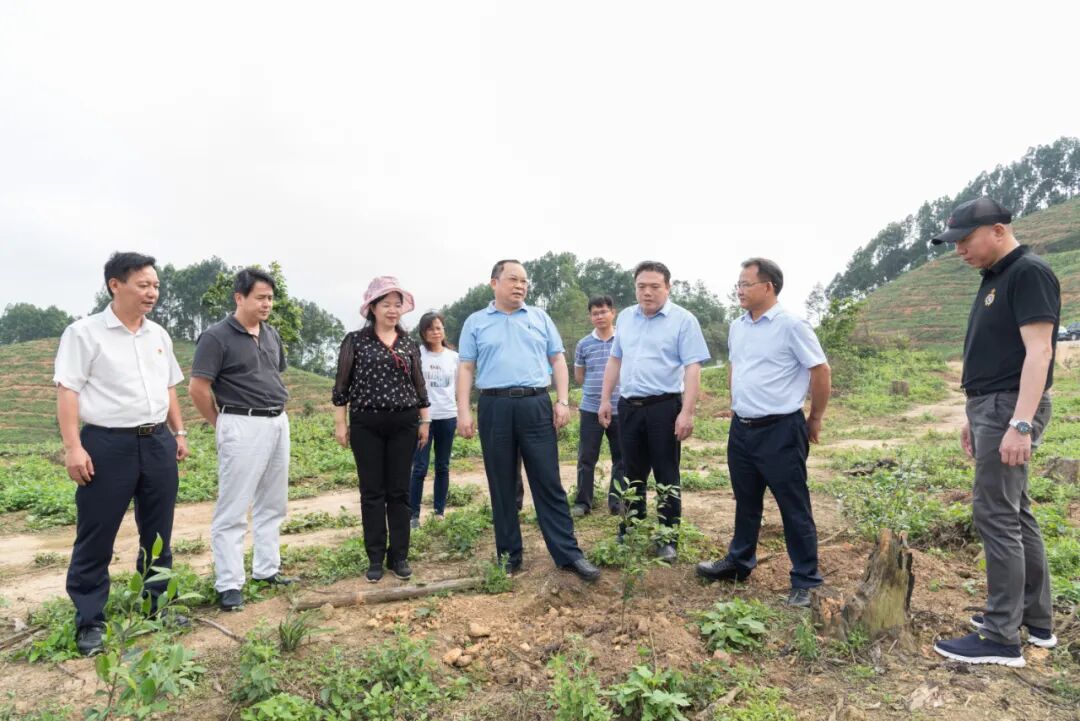 自治区林业局办公室主任施福军,生态处处长李贵玉陪同调研,高峰林场