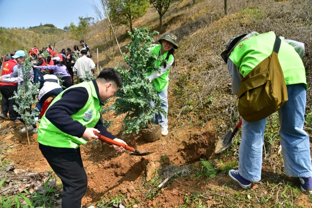 苗万春图片图片