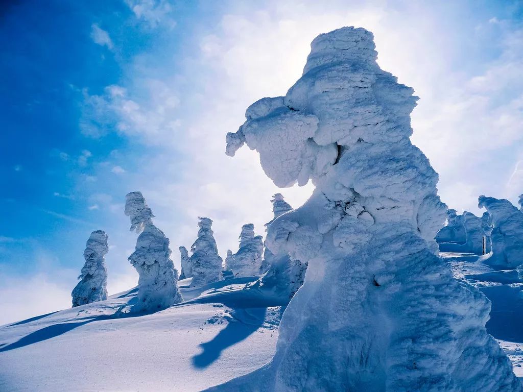 日本冬天最浪漫的絕色雪鄉，一下雪畫風就美翻了！ 旅遊 第5張