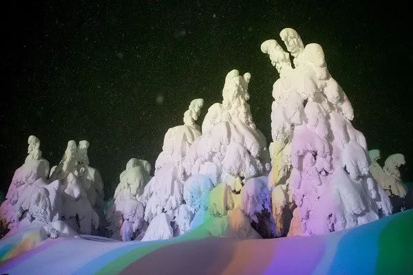 深度丨日本冬天才能看到的「樹冰奇觀」，就在這兩個地方！ 未分類 第12張