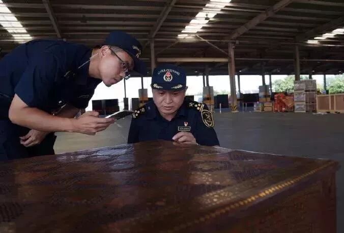 红木新闻︱重大新闻：天津海关查获近900件濒危木材…