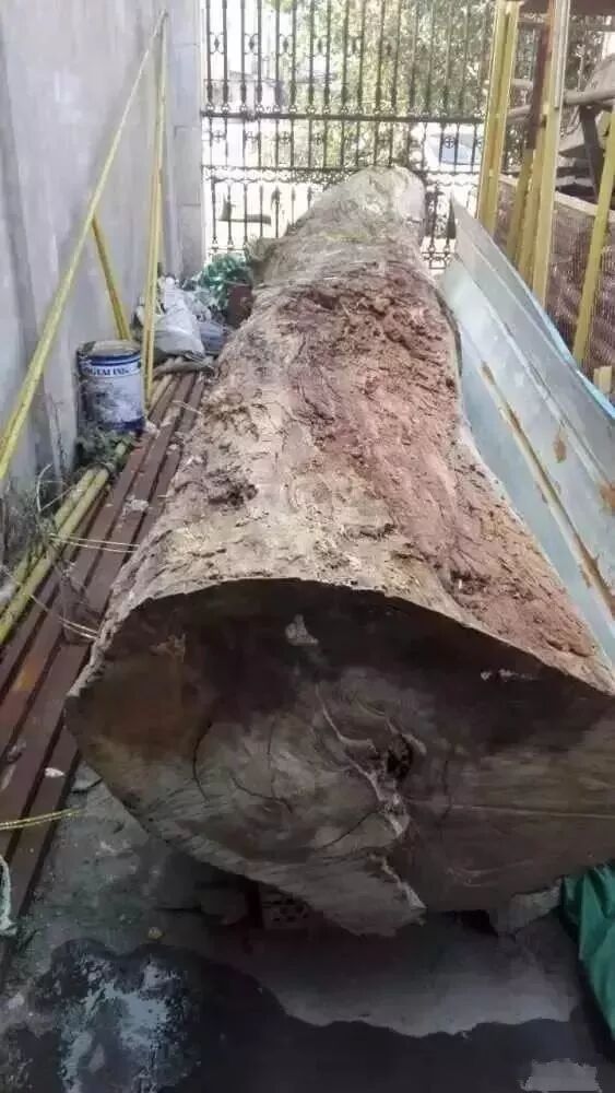 男子花200元买来烂木头，以168万卖出！最后，被警察……