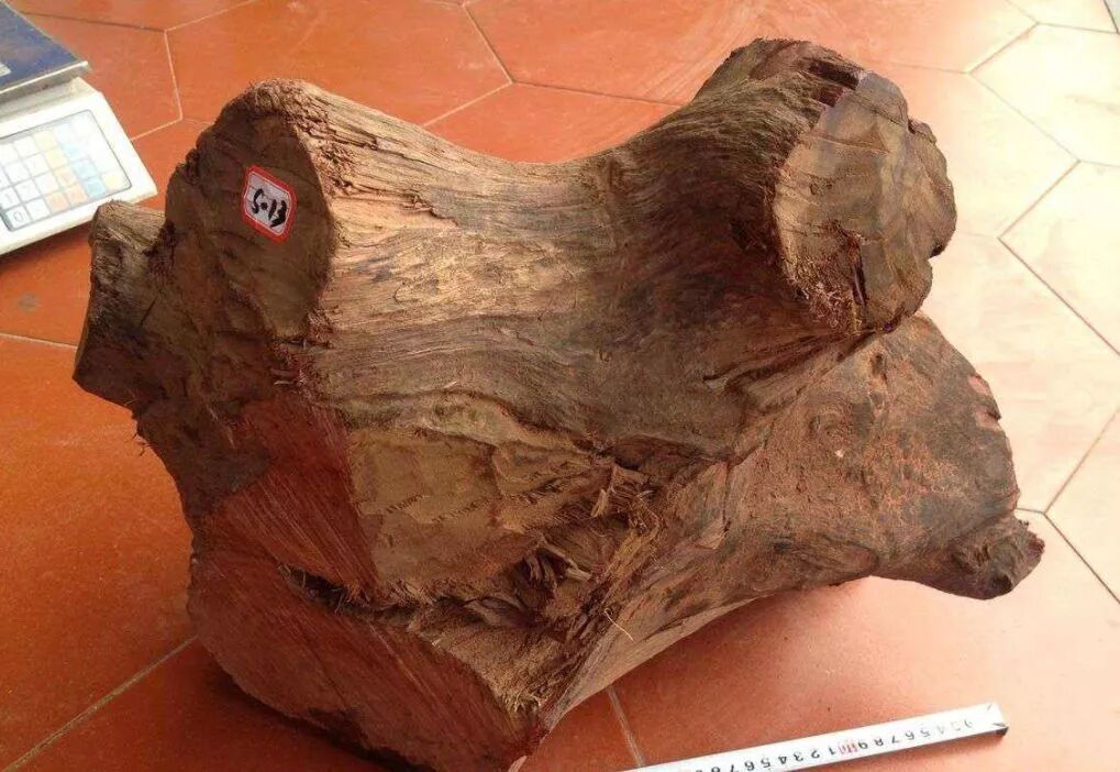 2种“掺假”的缅甸花梨材料，小心！