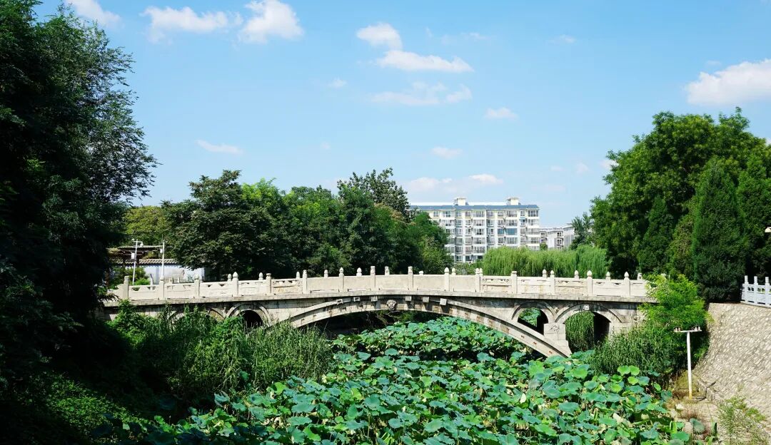 美丽河北25万亩梨园花事正盛赵县梨花节本周末举办