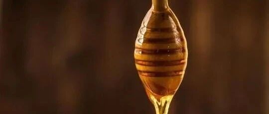 常吃蜂蜜真的有益于机体健康吗？