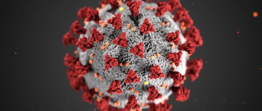 卫健委发布第九版《新型冠状病毒肺炎诊疗方案》：轻症集中隔离管理、增加针灸治疗内容