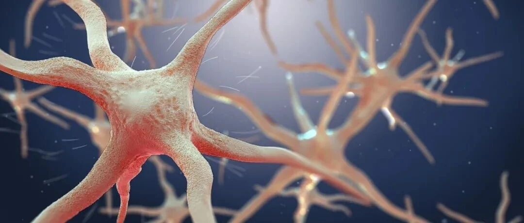 阿尔茨海默病认知衰退的“元凶”被发现！耶鲁大学：脑细胞突触是关键！