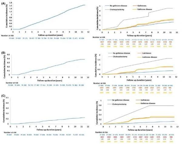 近8萬人15年研究：膽結石或會增加人患兩大癌症風險！ 健康 第4張