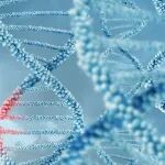 蛋白设计新时代！Science： 开发出基于强化学习的蛋白结构设计方法
