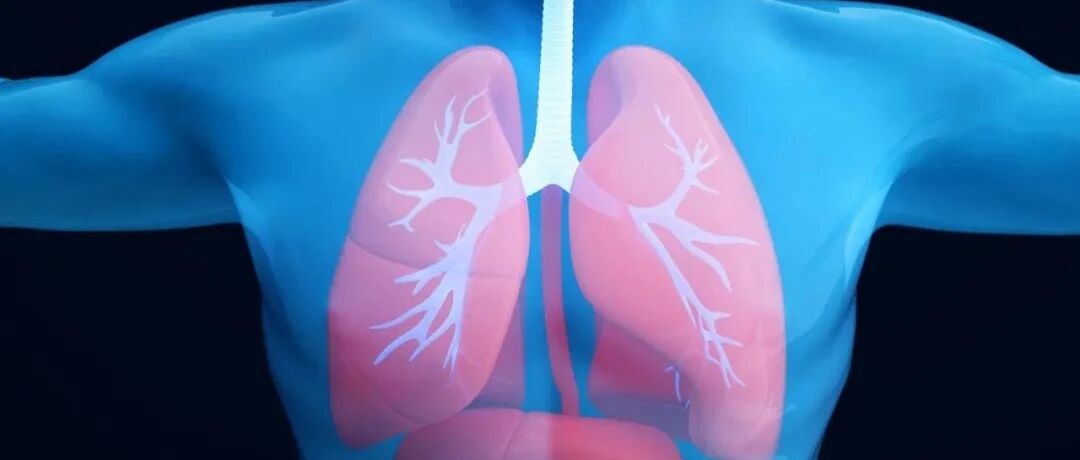 “万能供体”器官有望面世！新酶Azymes神助攻，消除ABOi供体移植血型匹配障碍！