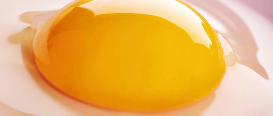 生命活力维生素D，对机体健康有多重要？