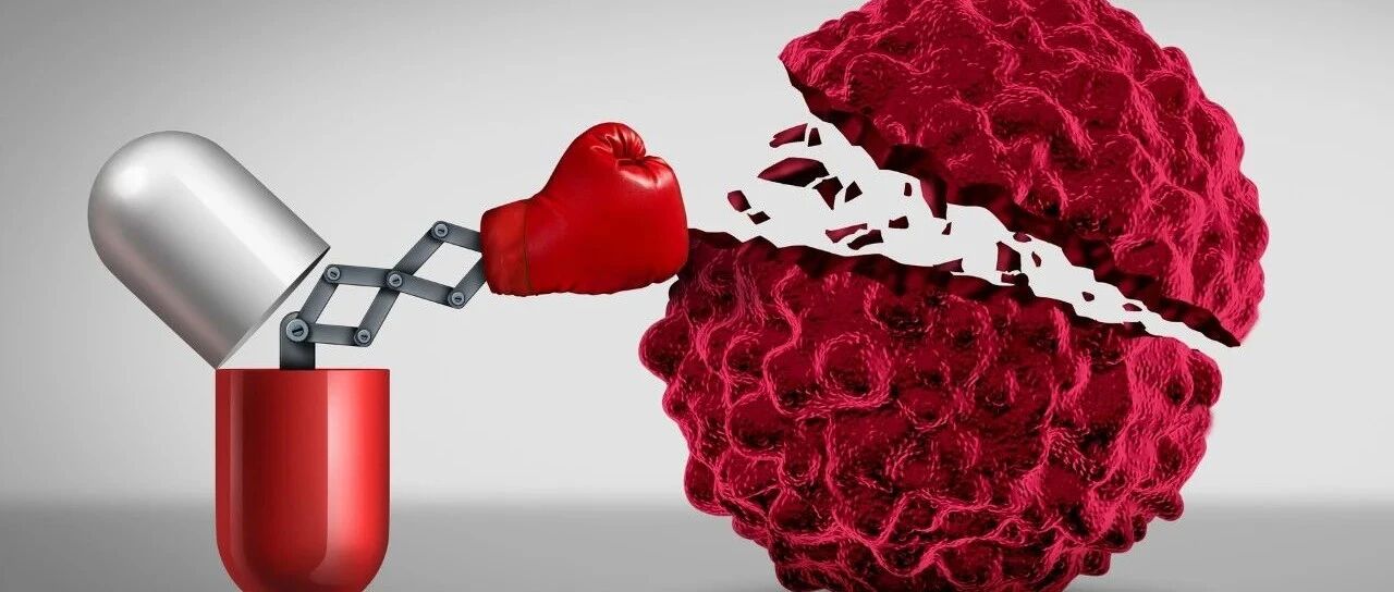 肠道微生物又立功？新研究：补充益生菌可增强癌症患者免疫疗法效果