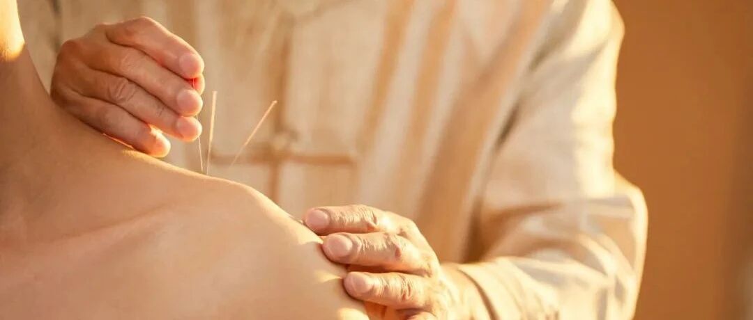 针灸研究登上Nature！刺激腿部“穴位”可治病？哈佛马秋富团队找到了背后的神经基础