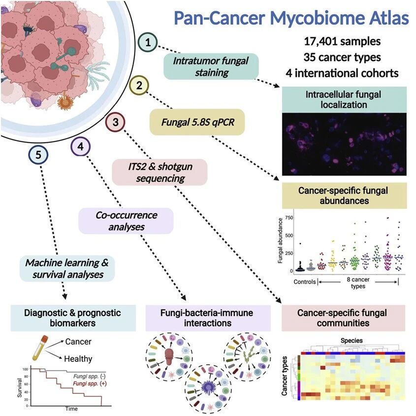 2022-10-09药事资讯