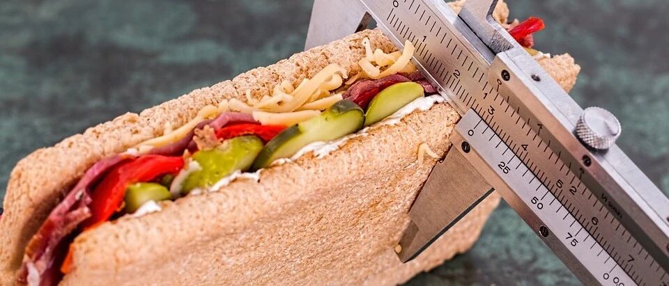 吃饭时间有多重要？《科学》揭示吃饭和肝脏内部生物钟控制着身体代谢