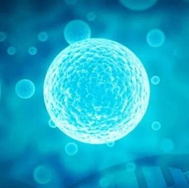 2022-10-20药事资讯