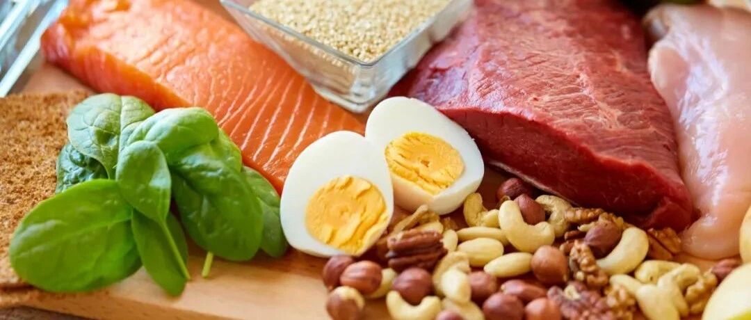 为什么你会忍不住摄入含蛋白质食物？原因可能在这