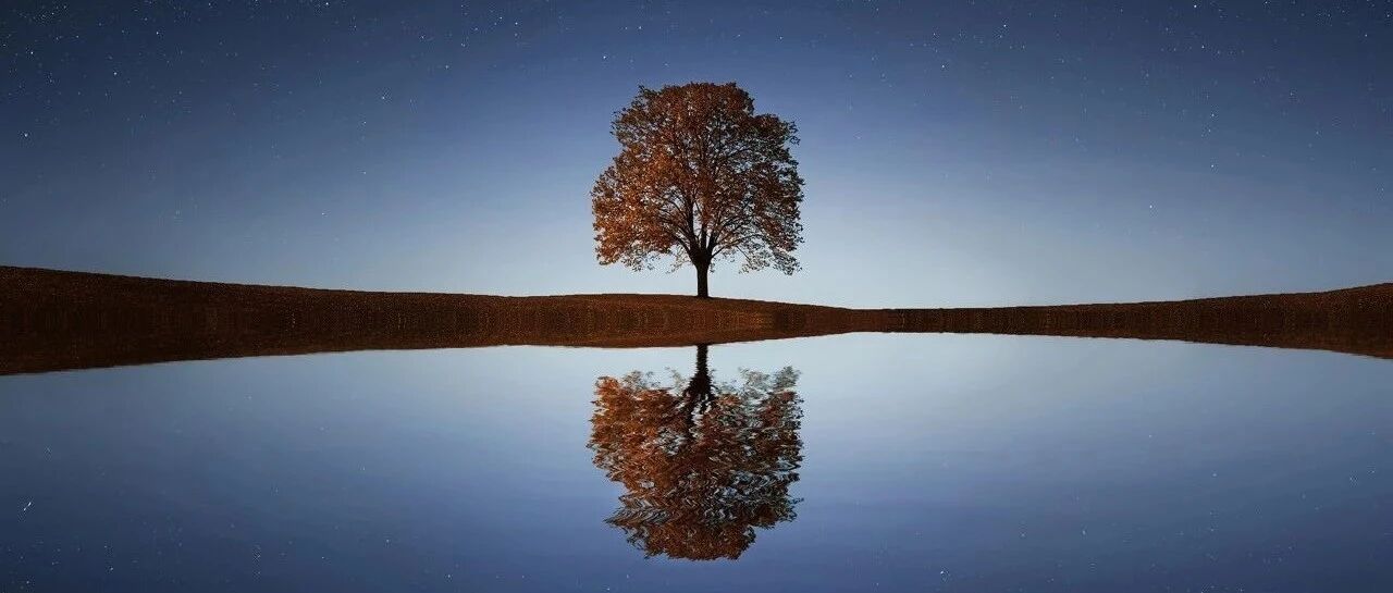 还敢熬夜？当心变成“过目就忘"