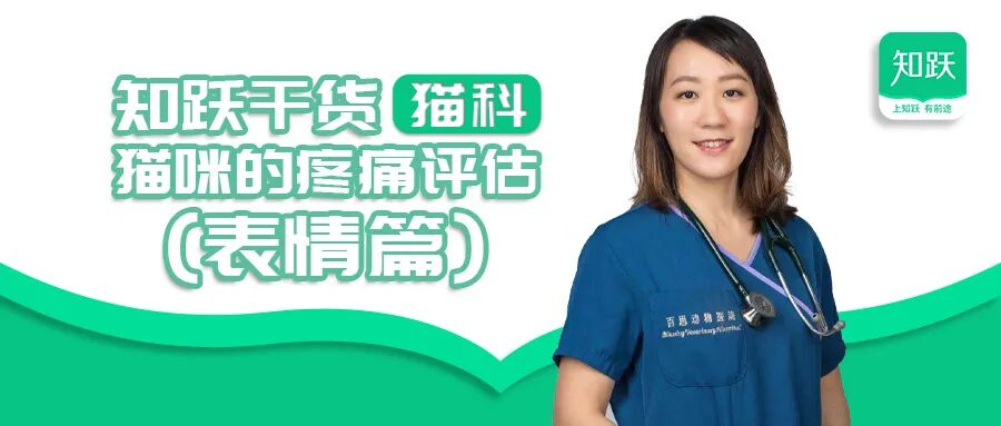 心电图滤波怎么选择【知跃干货】心电图基本示例_https://www.jmylbn.com_新闻资讯_第23张