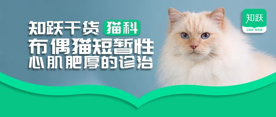 心电图滤波怎么选择【知跃干货】心电图基本示例_https://www.jmylbn.com_新闻资讯_第21张