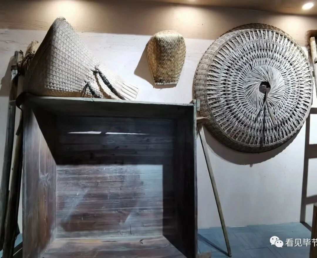 �Ͻ������и����ݣ����������ġ�����ɱ��