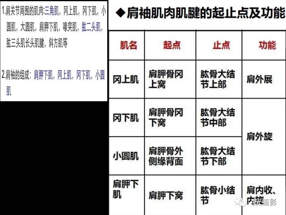 肩关节MRI解剖肩袖损伤诊断技巧--对应动图，效果超赞