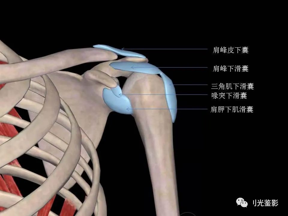 肩关节MRI解剖肩袖损伤诊断技巧--对应动图，效果超赞