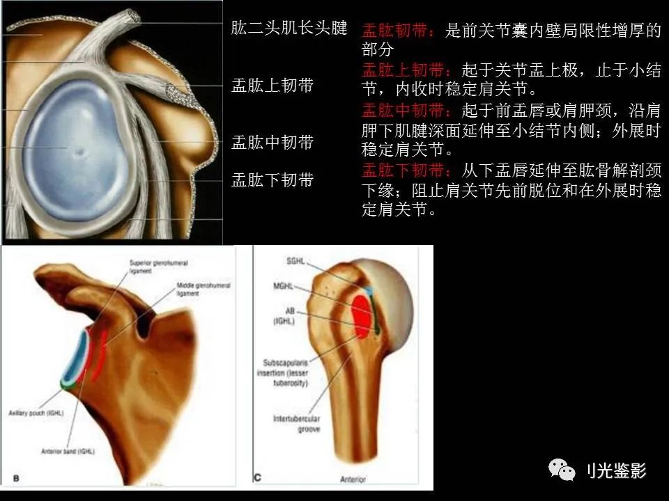 肩关节MRI解剖肩袖损伤诊断技巧--对应动图，效果超赞