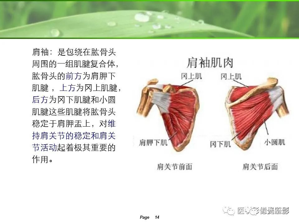 肩关节MRI解剖肩袖损伤诊断技巧--对应动图，效果超赞