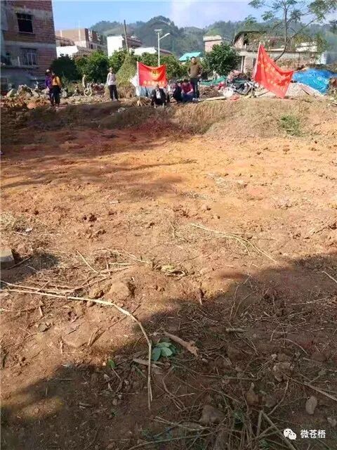 梧州龙圩，陆氏400年祖坟被挖，警方介入调查！