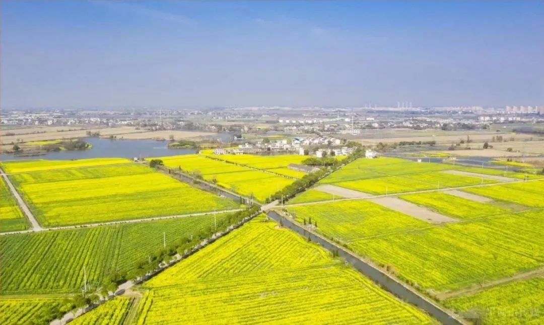 020年芜湖市国民经济和社会发展统计公报出炉！@芜湖人请查收！"