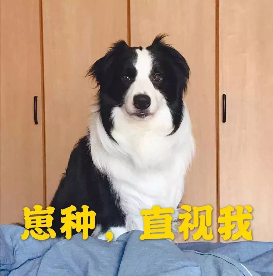 装饰公司玻璃广告_装修公司玻璃广告纸_装修纸玻璃广告公司有哪些