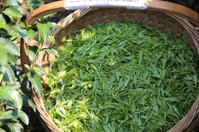 愿有个对的人，陪你喝茶一辈子