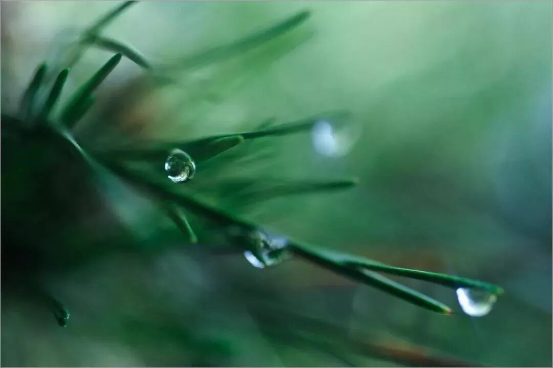 【早听】不和别人比，好好活自己