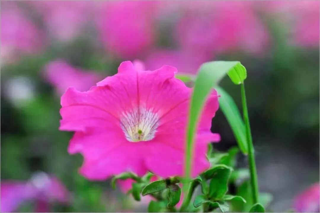 【早听】放过自己，善待自己，别想太多