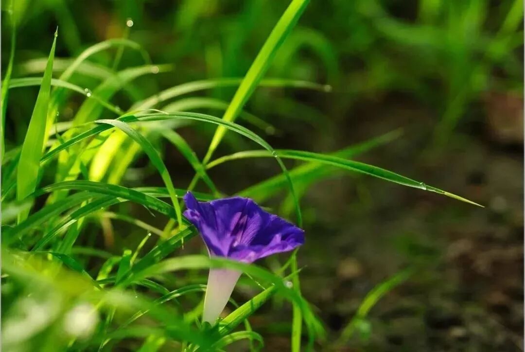 【早听】好好生活，是一种责任