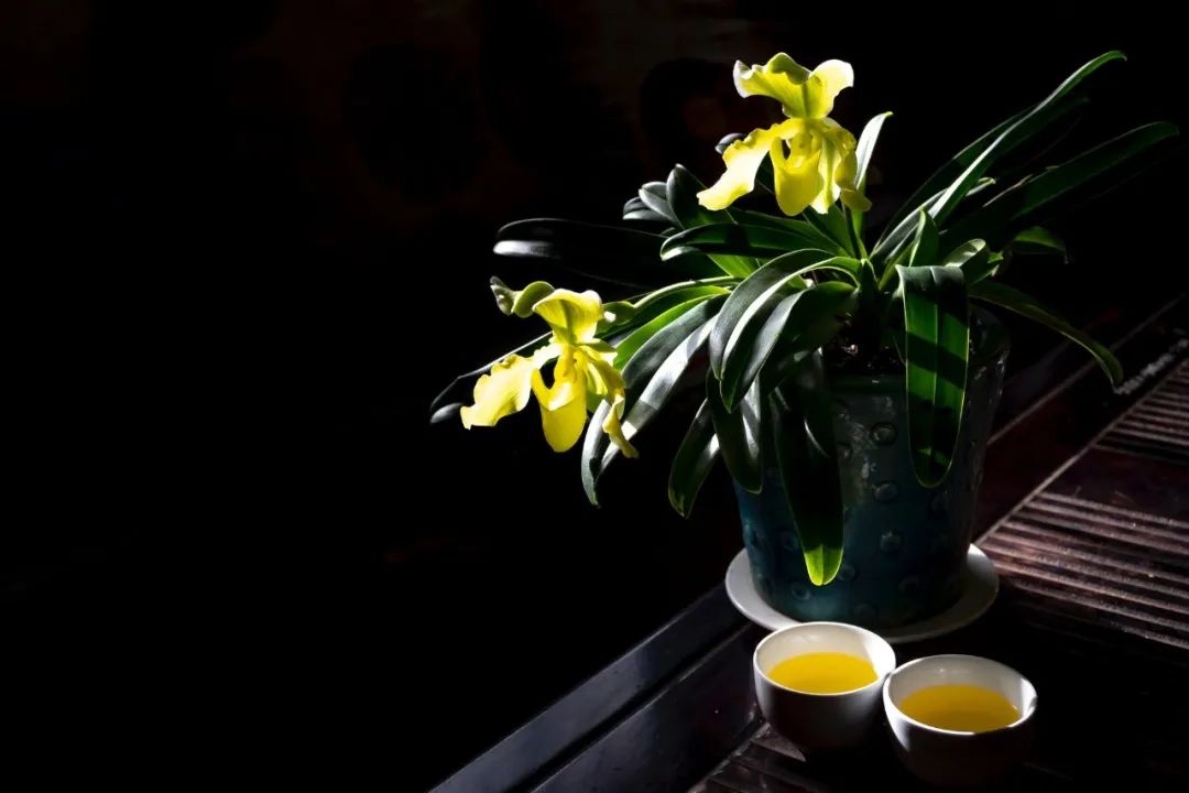 茶从来不说话，宁静至此升华。