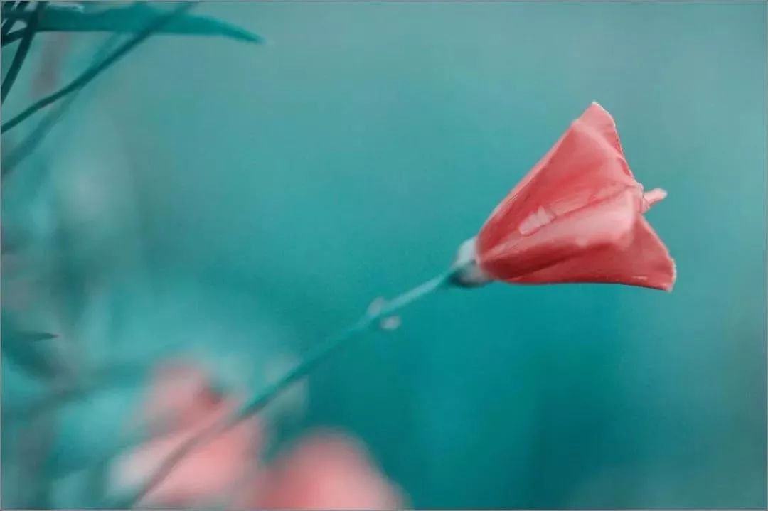 【早听】生活，过的就是一种心情