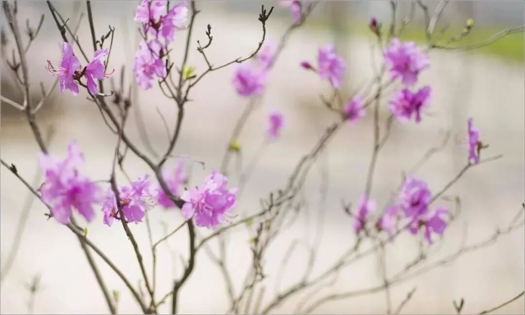 【早听】岁月静好，你我都好
